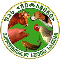ვიტამინი